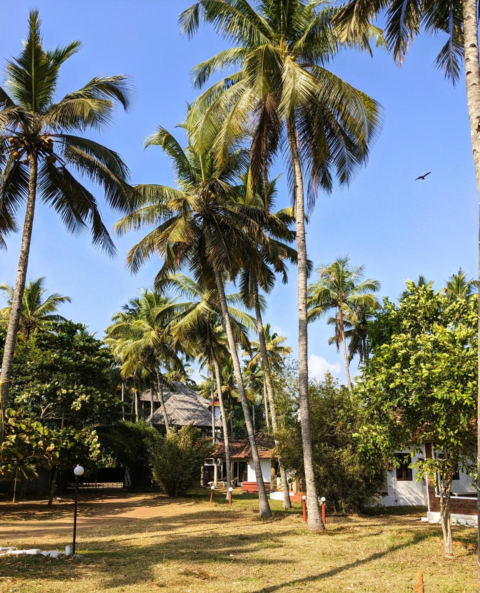 Baycliff Cottages Varkala Luaran gambar
